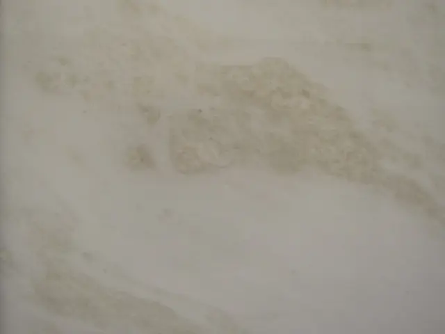LX리노화이트 원장