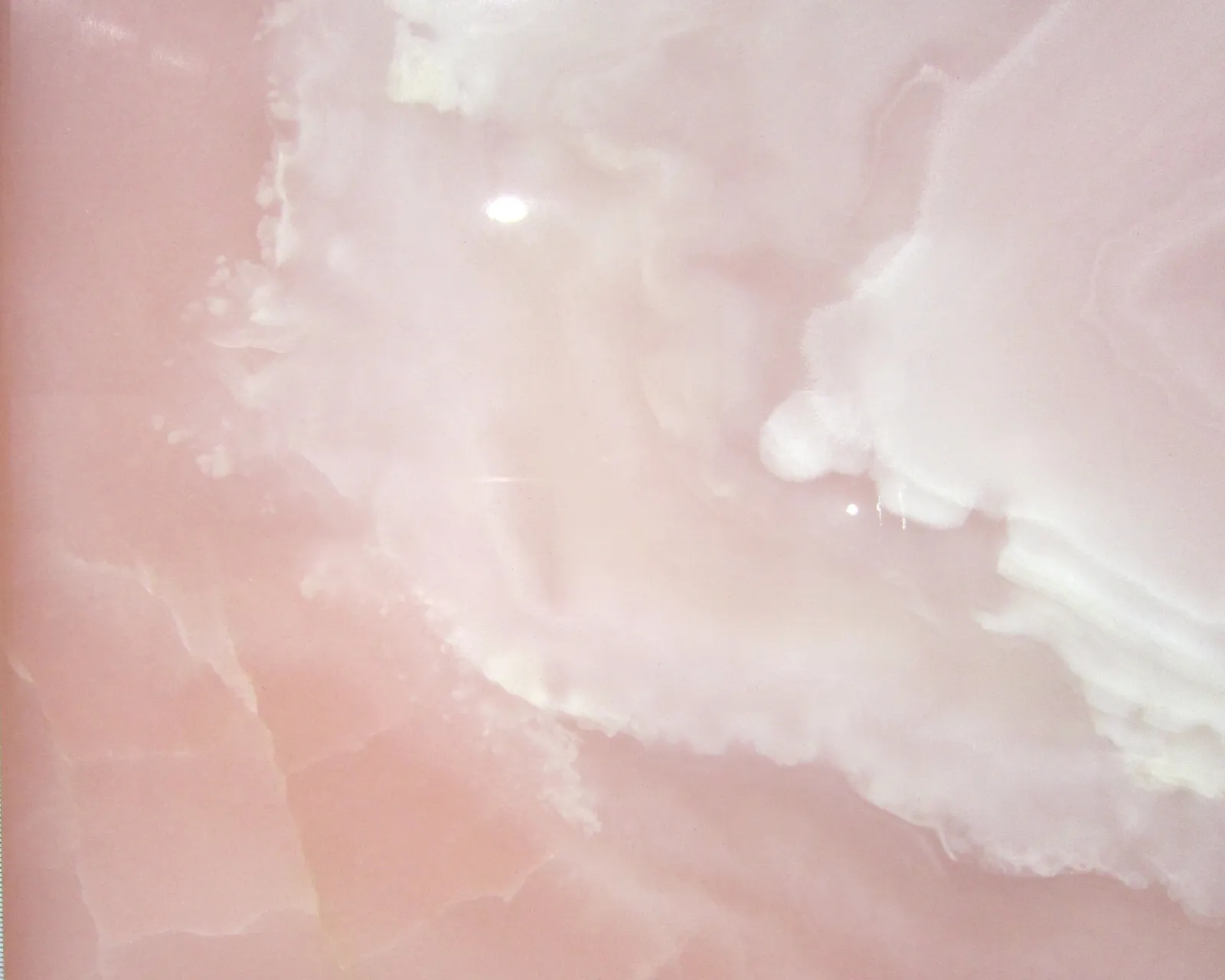 LX 핑크오닉스 근접샷